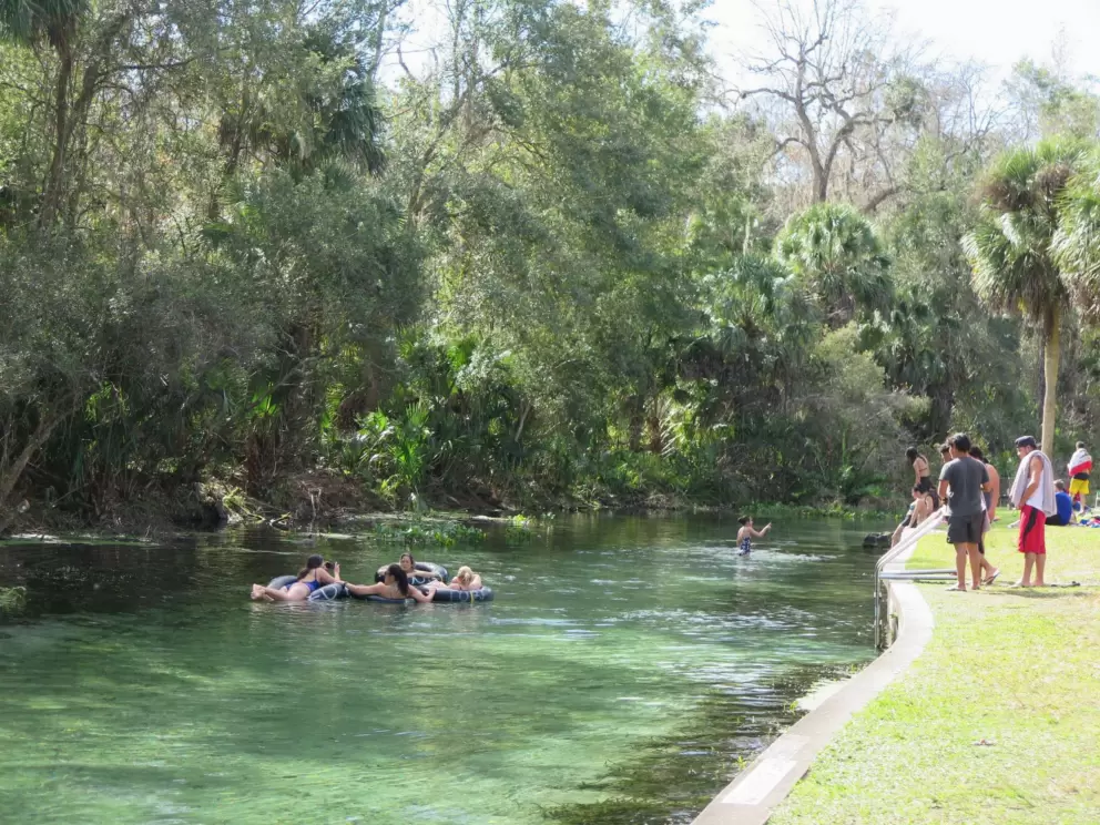 Tubers enjoying an idyllic day.