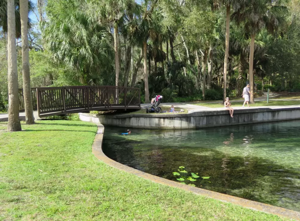 Bridge over the water, and grass to sit on at the edge.