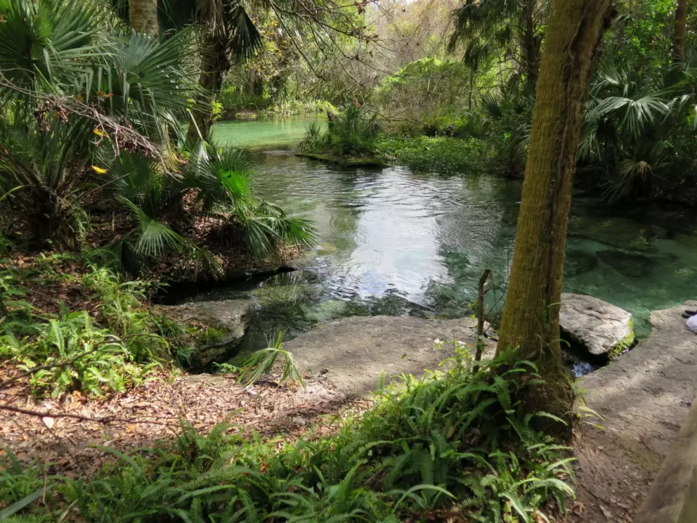 Hop off the rock into the lazy river.