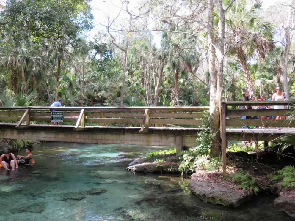 Bridge over the head spring area.