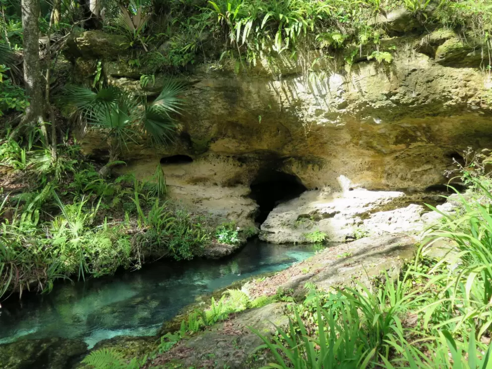 Cave at the head spring.