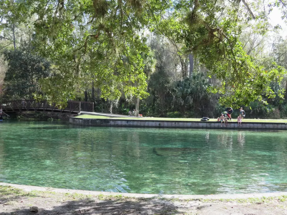The huge pool, and some shade at the edge.