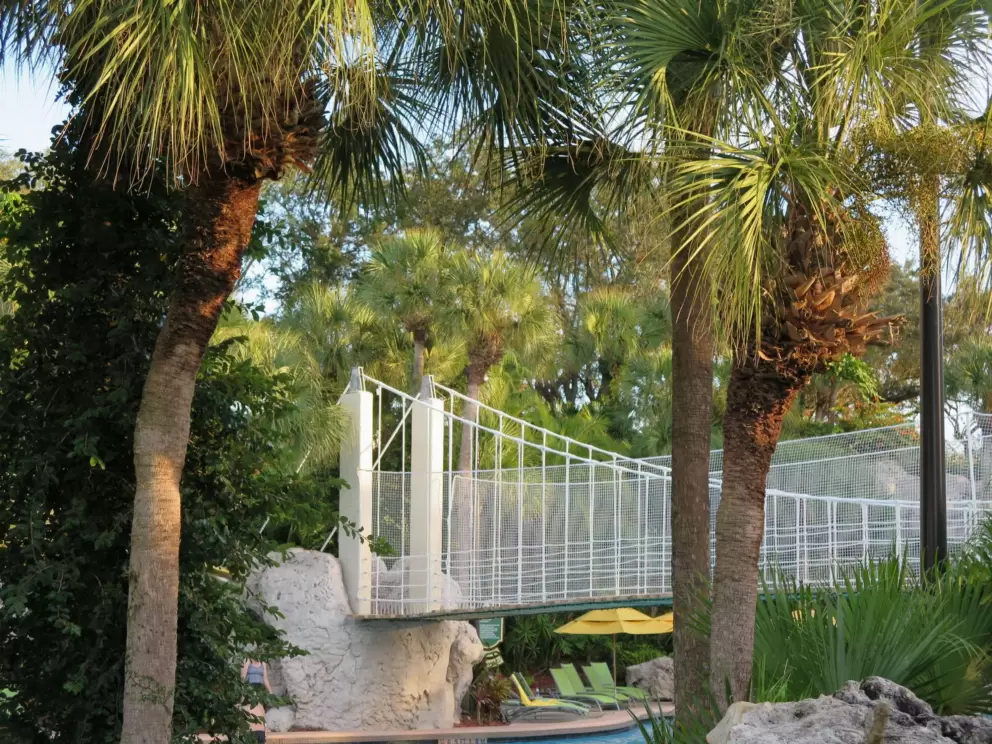 The bridge over the pool, and palm trees.