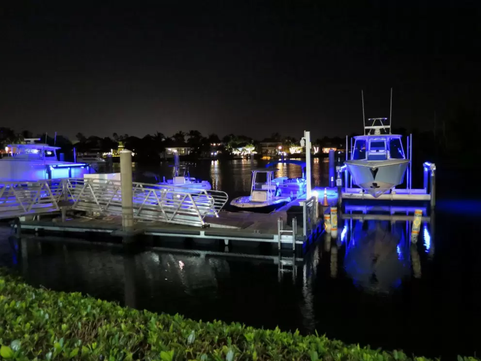Boats lit up in blue!