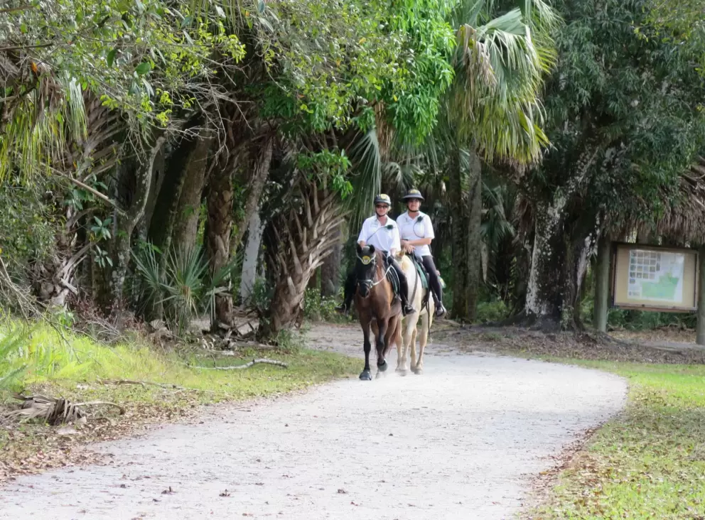 Rangers riding horses through the park.