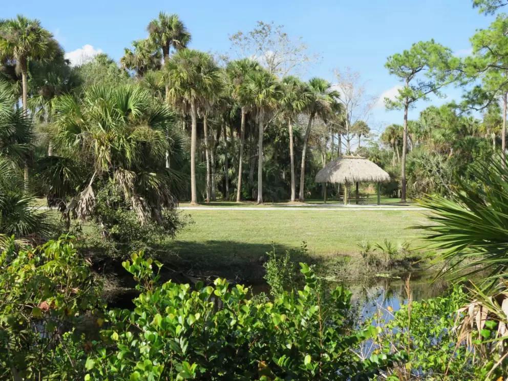 Looking across the river to the other side.