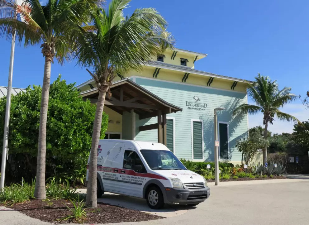Loggerhead Center, and turtle ambulance!