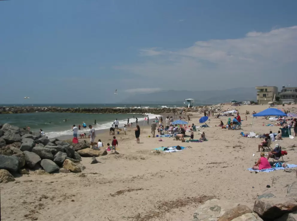 Busy summer day at Marina Park. The brutal wind doesn't stop the sun-seekers!