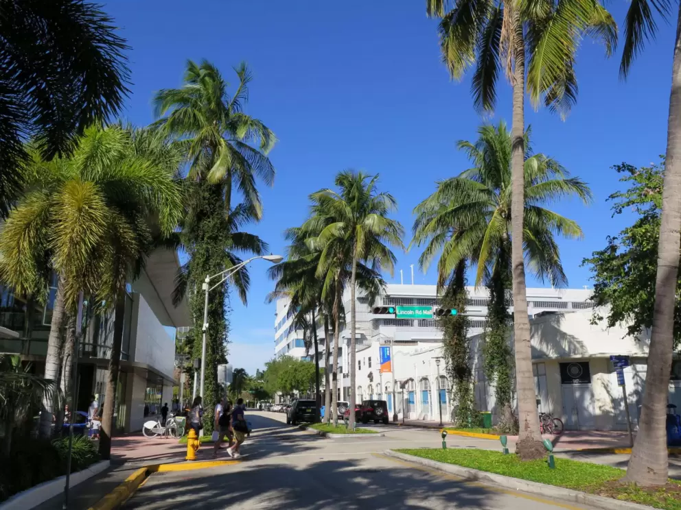 Palm trees always make things look happy.