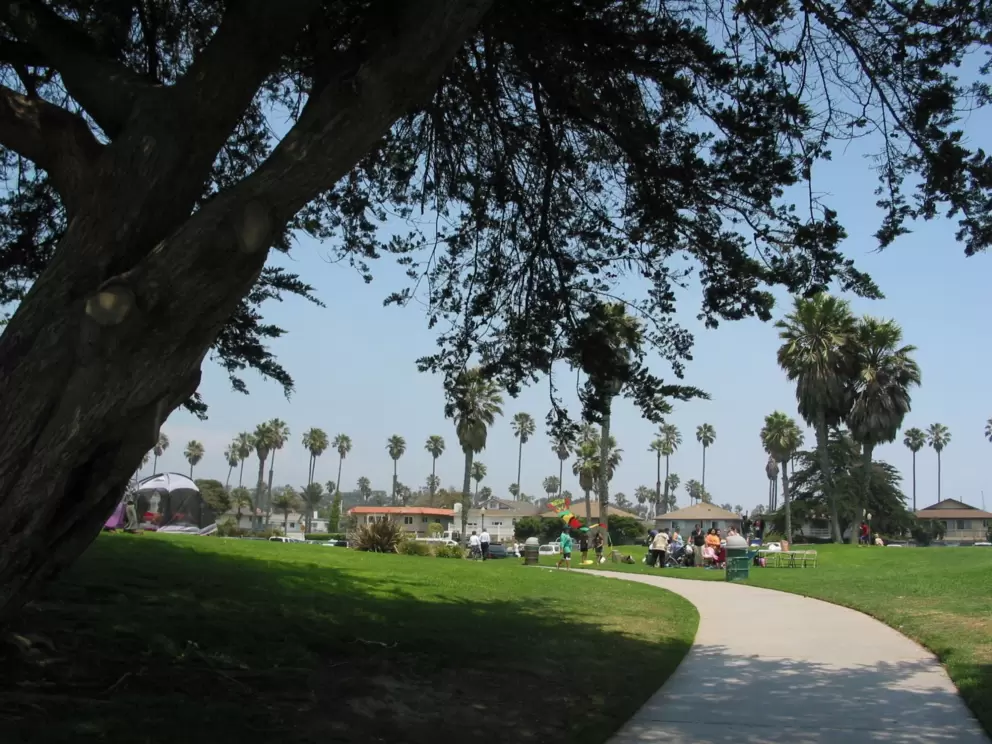 Shady spot by the grassy knolls. 