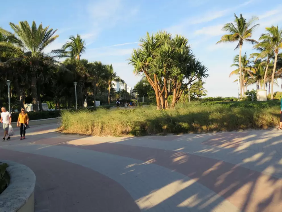 Late afternoon on the bike path.