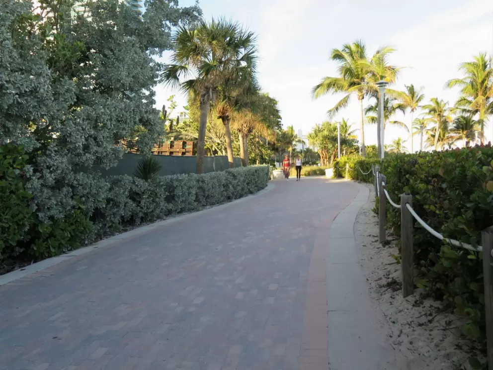Brick path.