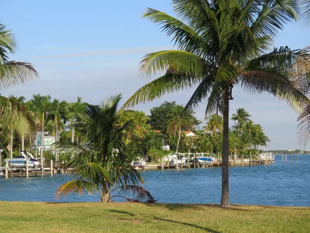Palms and waterfront houses.