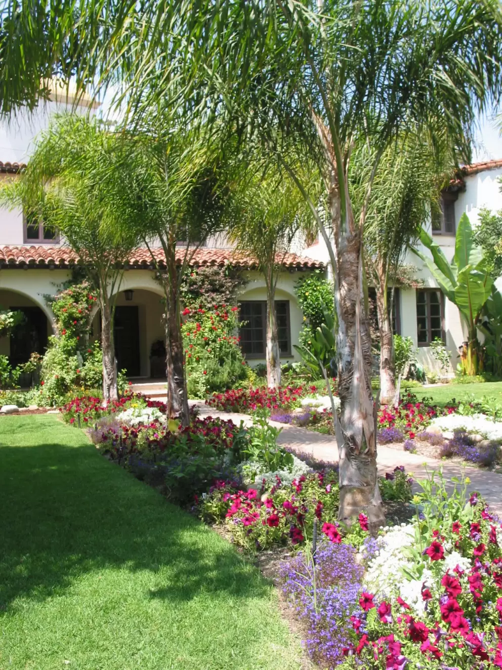 Tropical trees and flowers in the mission's gardens.