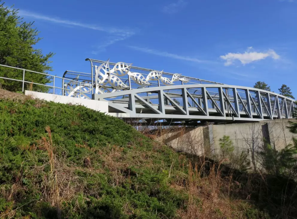 The bridge that leads to Kids Together Playground.