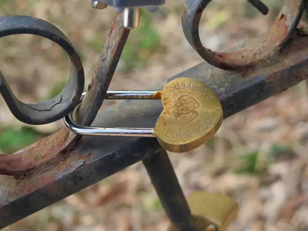 Love You Forever lock.