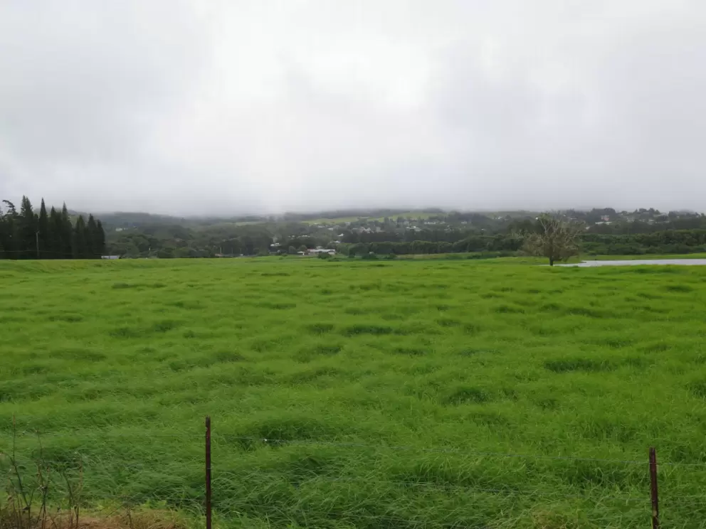 Countryside in Waimea.