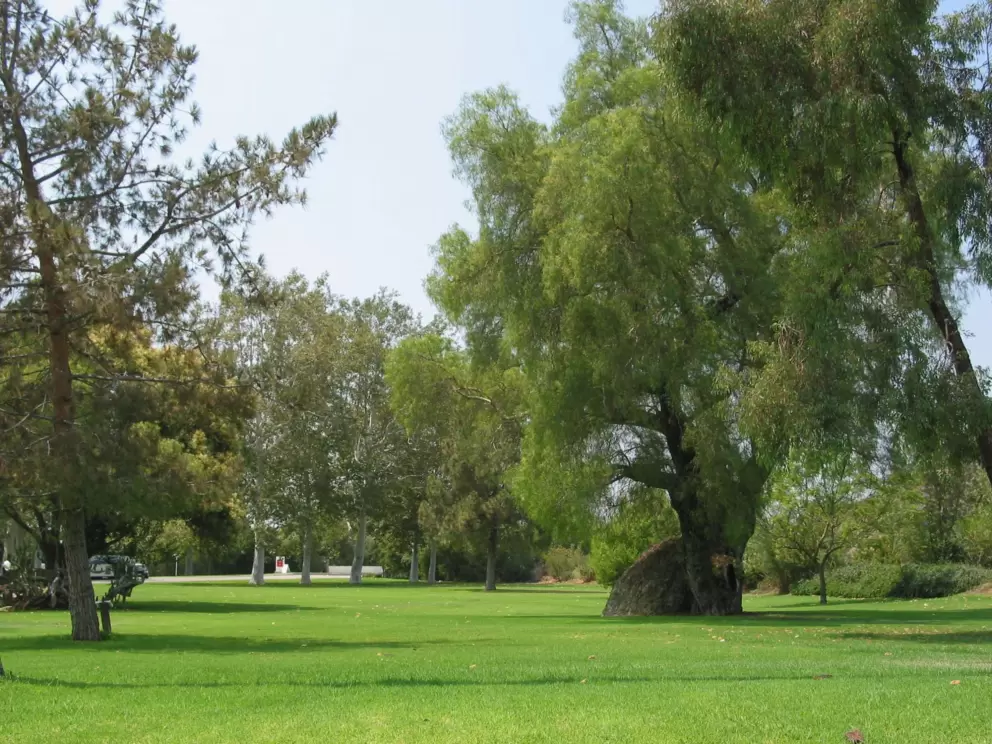 Grassy area near entrance to faculty housing. 