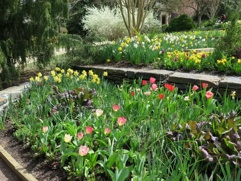 Flower beds galore!