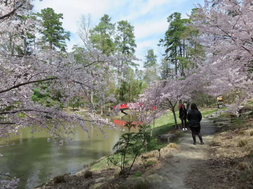 Blossoms along the trail.