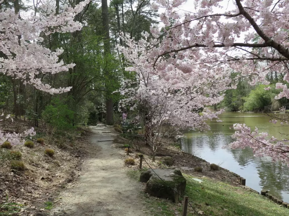 End of winter is a glorious time along the path!!
