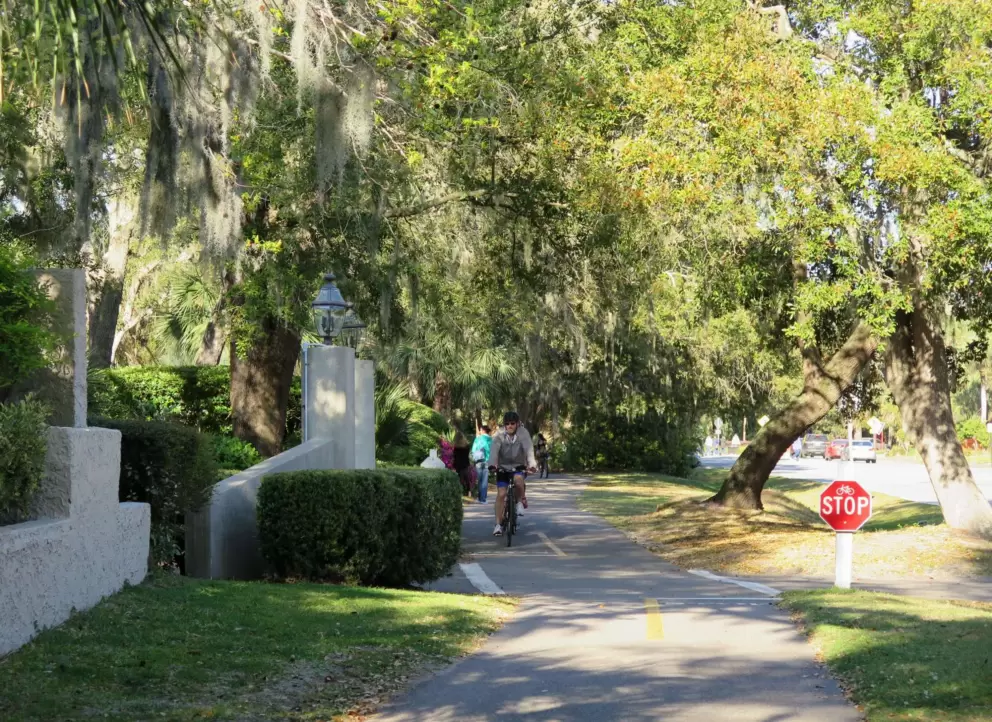 A bike rider enjoys the shady path.