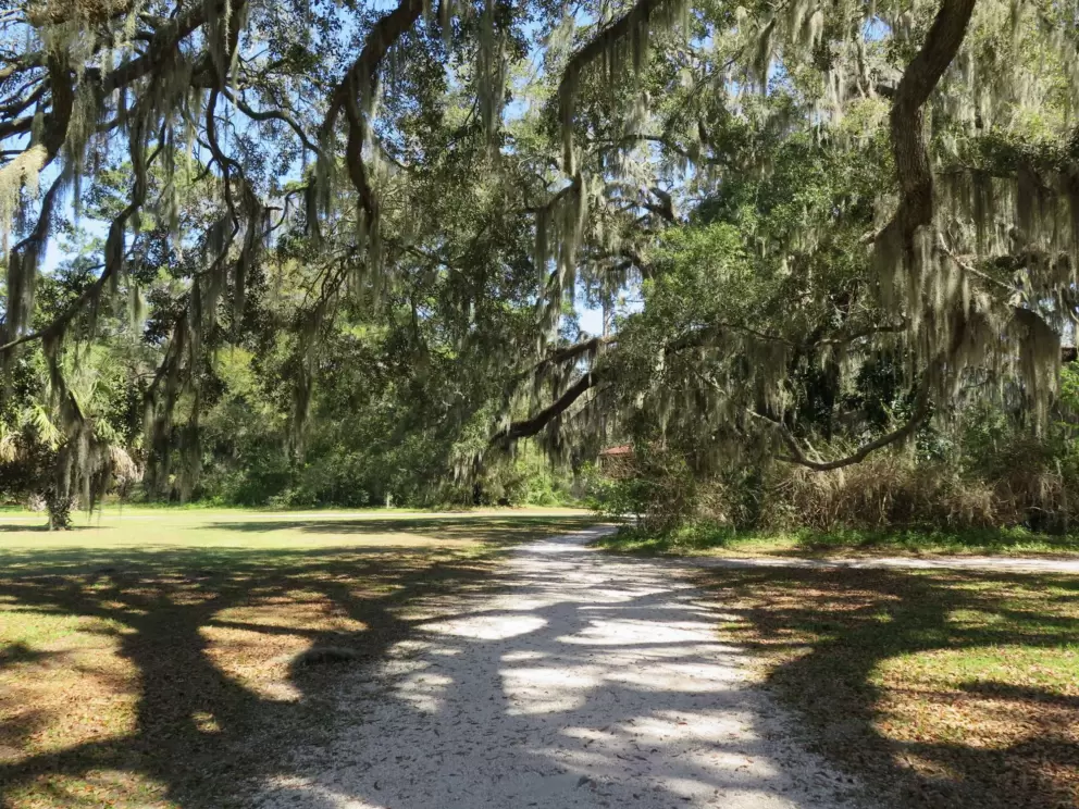 Shady walking path.