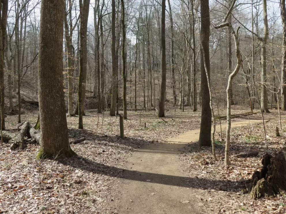 Walking trail.