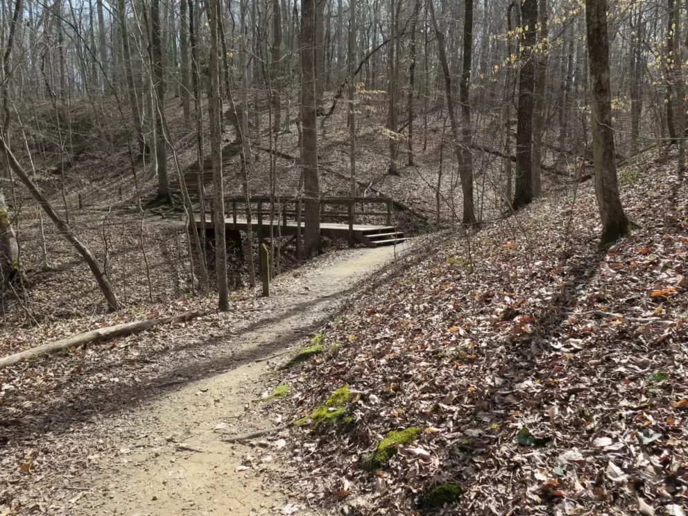 Bridge on the trail.