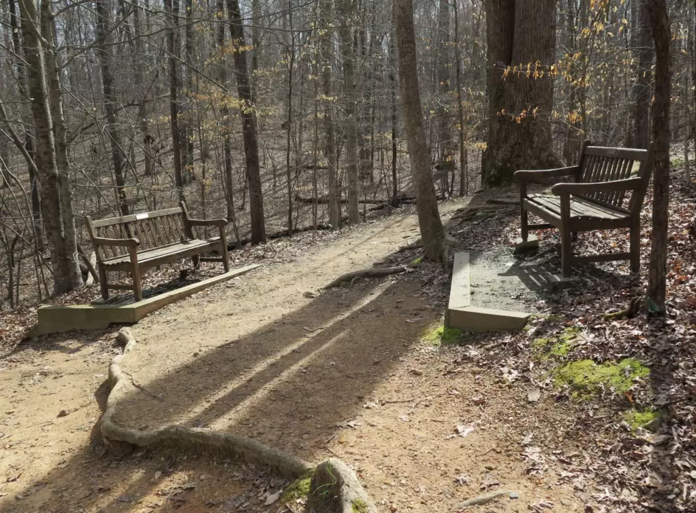 Benches and sunlight.