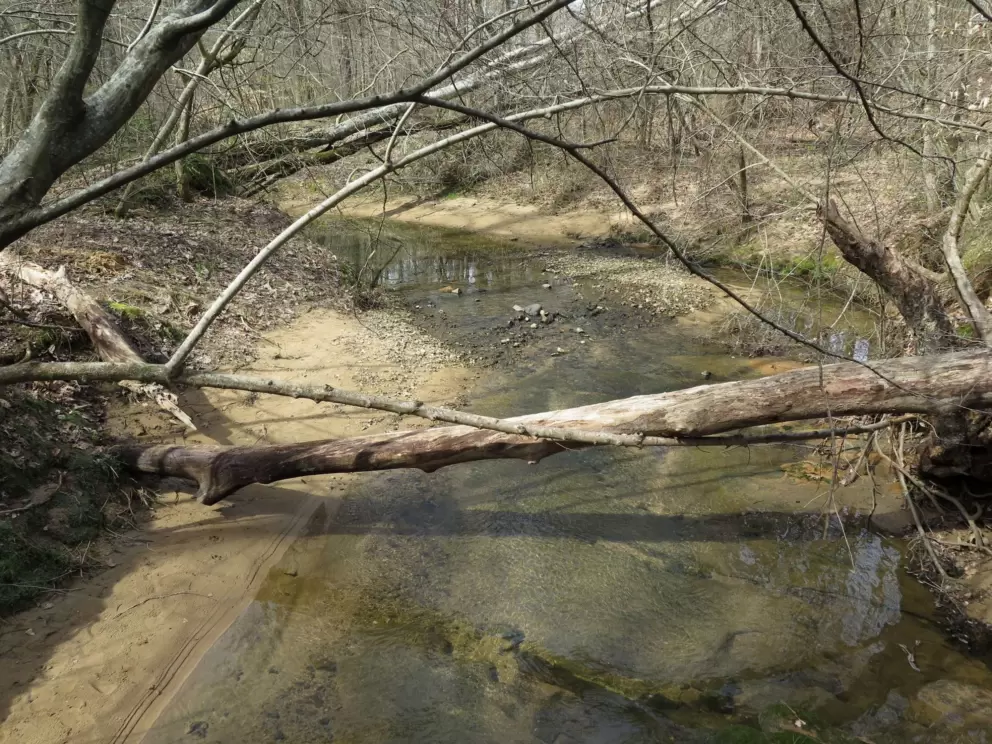 Creek.