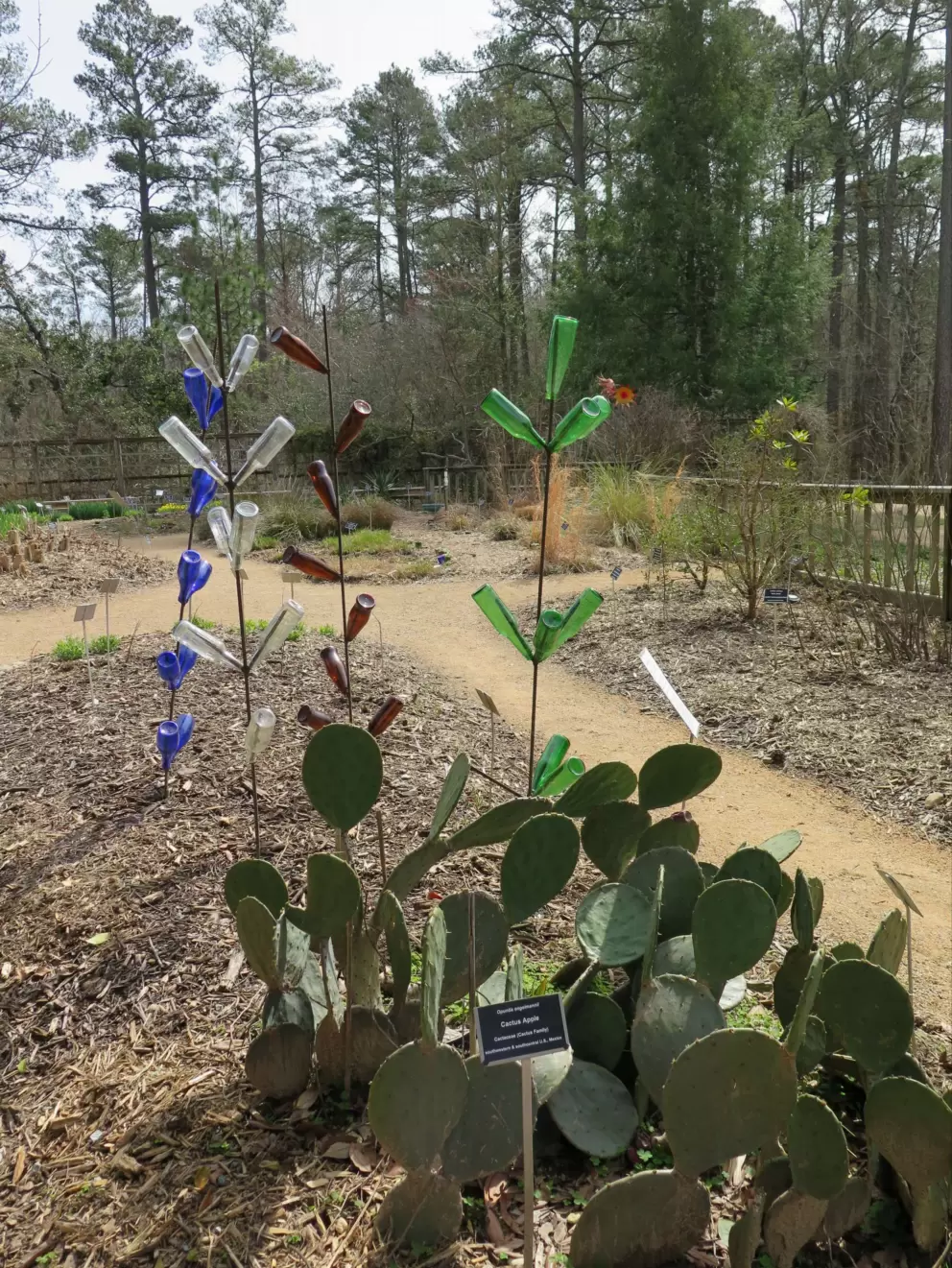 Bottles decorating the garden.