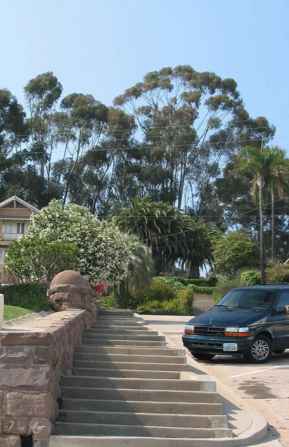 View up the steep street to the eucalyptus-covered hill as you walk along Poli Street. 