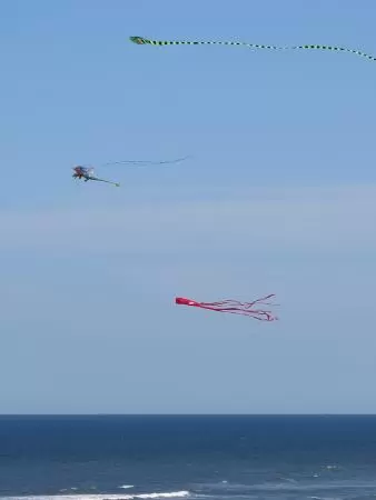 Kites in the sky.