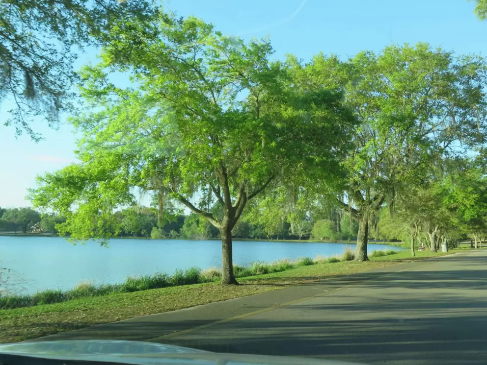 A nice drive around Lake Frances on Lake Shore Drive.