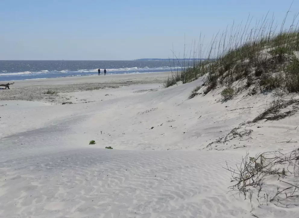 Dunes leading down to the ocean.
