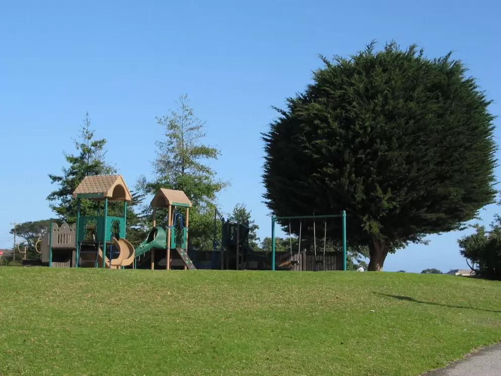 Toddler playground on grassy hill.