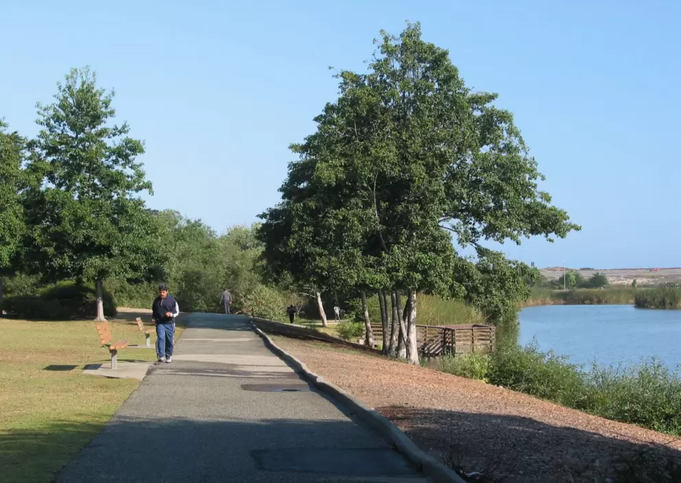 Jogger on a Summer morning at Laguna Grande.