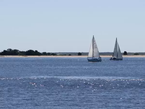 Sailboats on the Cape Fear River.