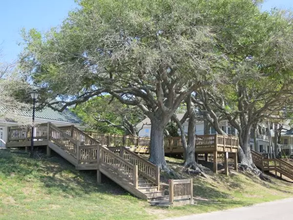 Maritime trees and stairs leading up to houses.