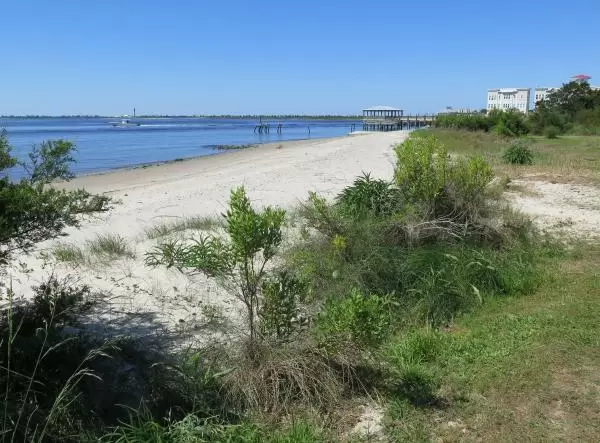 River beach along West Bay Street.