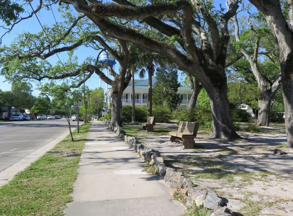 Pretty trees and benches along the sidewalk.
