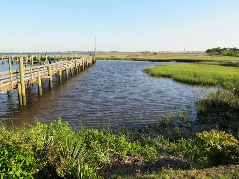 Salt marsh.