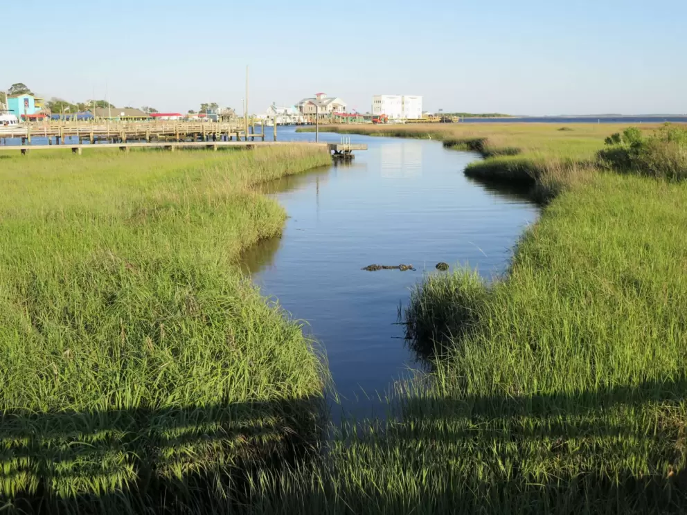 The little openings in the salt marsh are sweet.