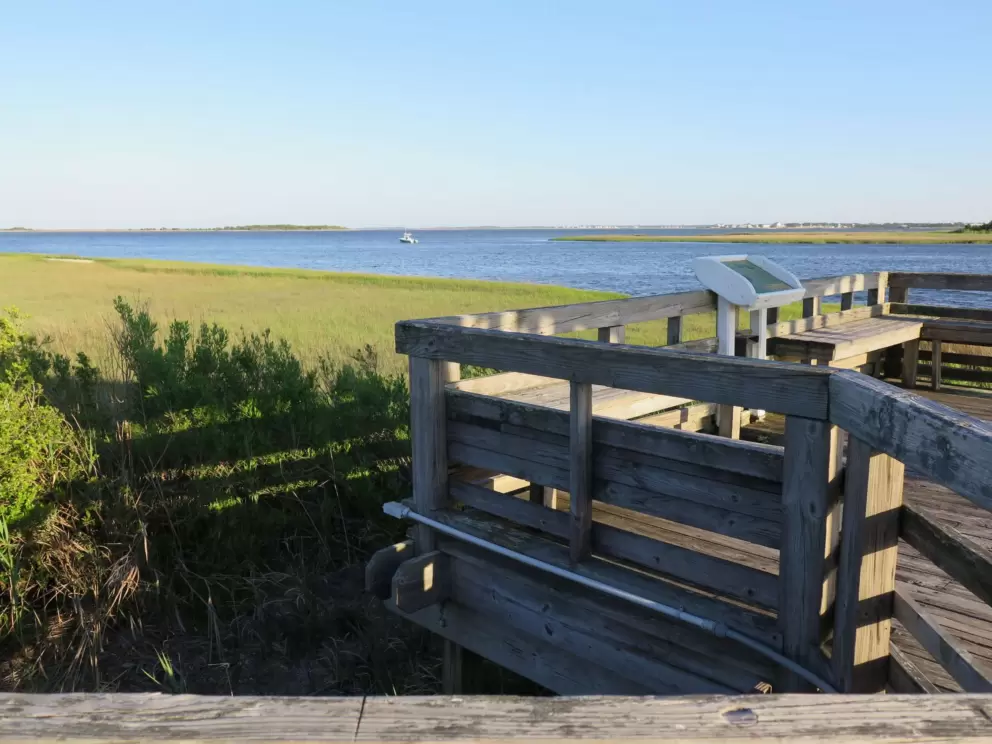 Pleasant light on the marsh.