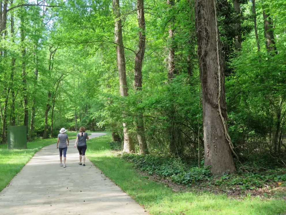 Women friends walk in the greenway.