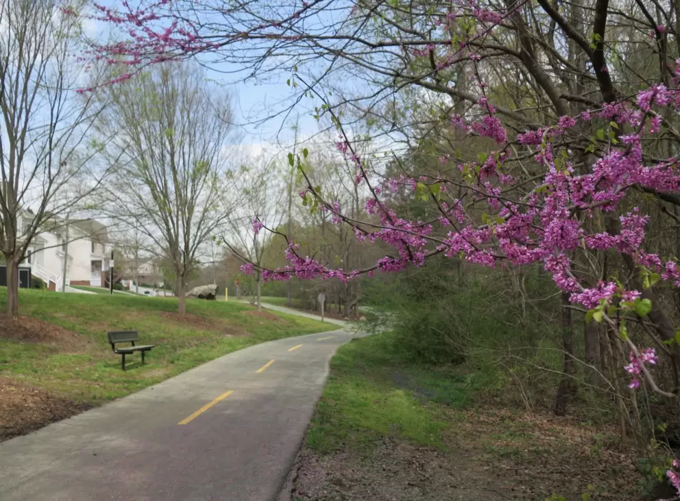 The trees are still sticks but there are some signs of life appearing in April.