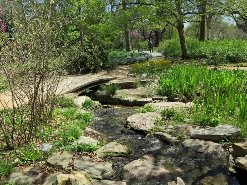 Stream babbling.