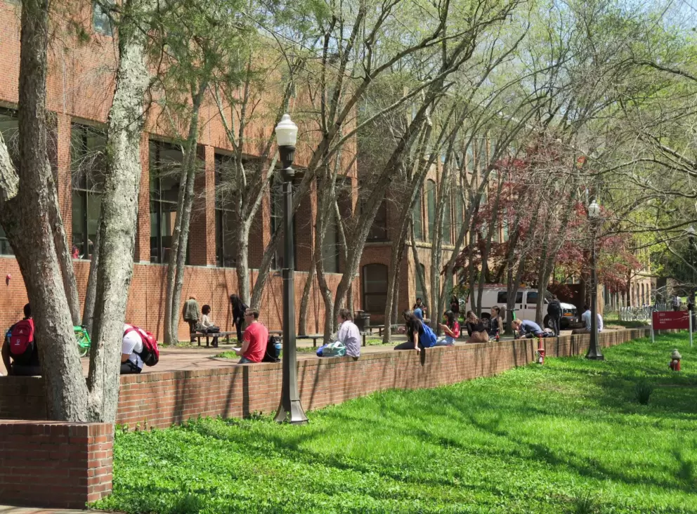 Students sitting on a wall.