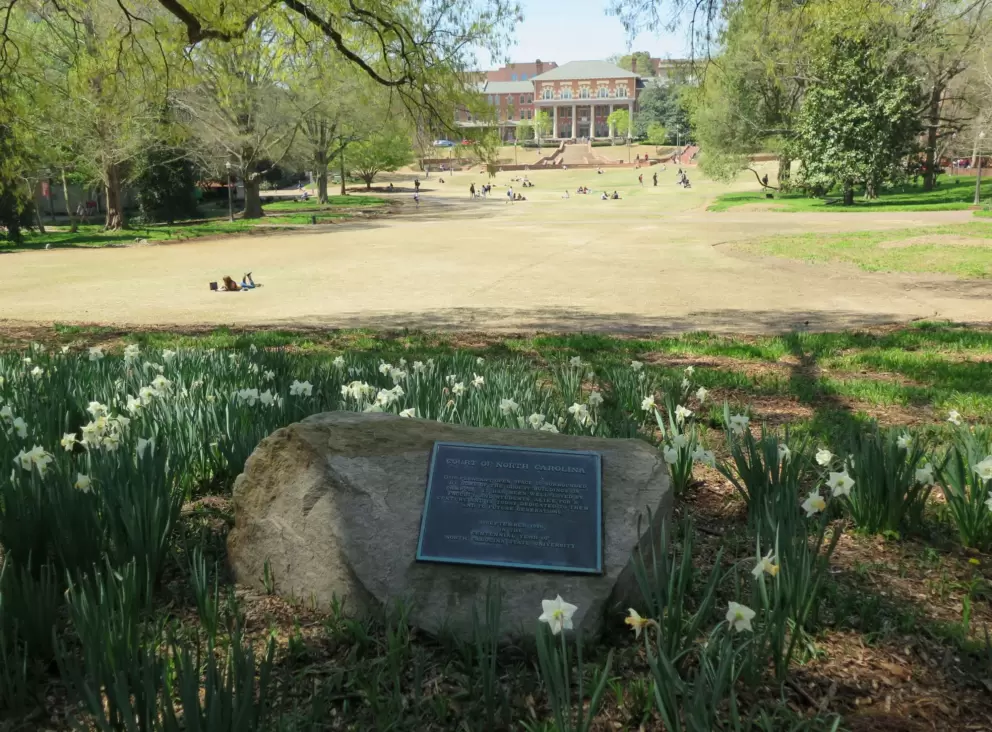 Court of North Carolina plaque and daffodils, with the huge open space behind.